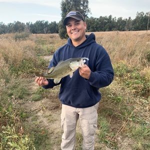 Meet your Posher, Luis